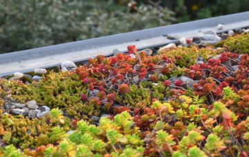 the cost of Intack green roof installation
