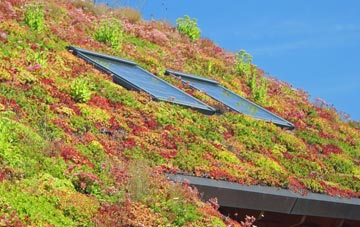 Intack living roof systems