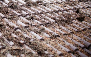 Intack roof cleaning companies