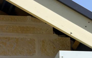 soffit repair Intack