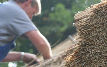 professional Intack thatchers