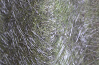 Intack fibreglass roof work